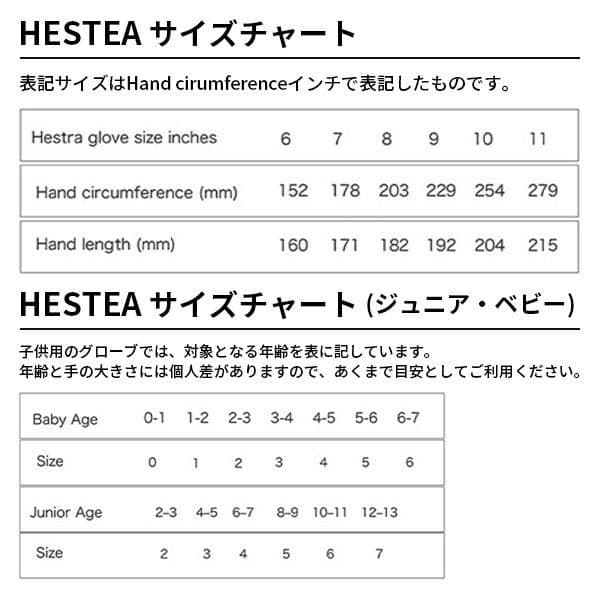 【試着のみ】ヘストラ(HESTRA) スキーグローブ サイズ:8