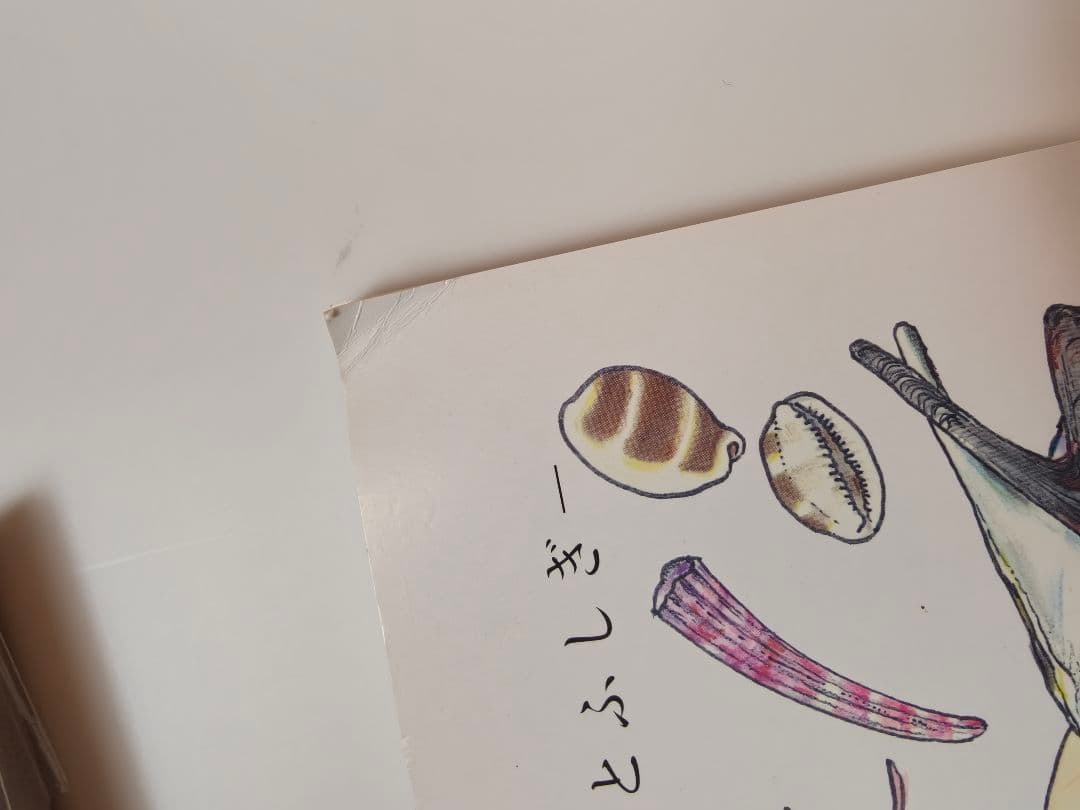 貝に沼る 解説書と風呂敷 特別展 大阪市立自然史博物館