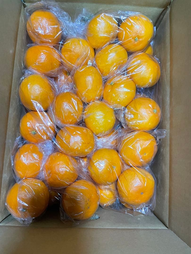 秀品はるみ　Ｍ10キロ