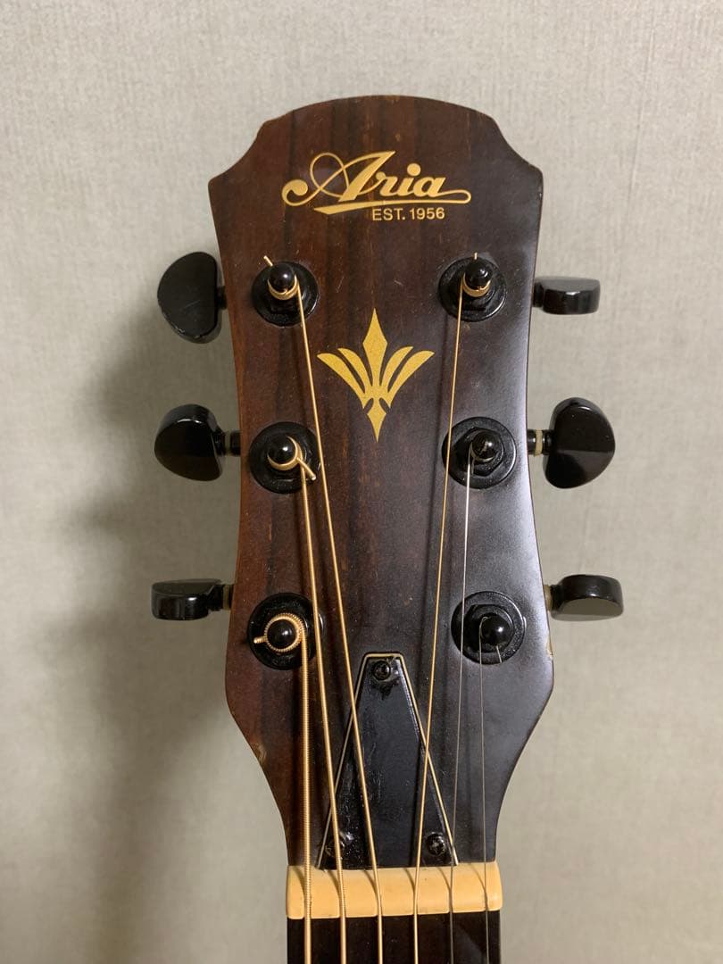 ARIA FET-F1 N エレアコ