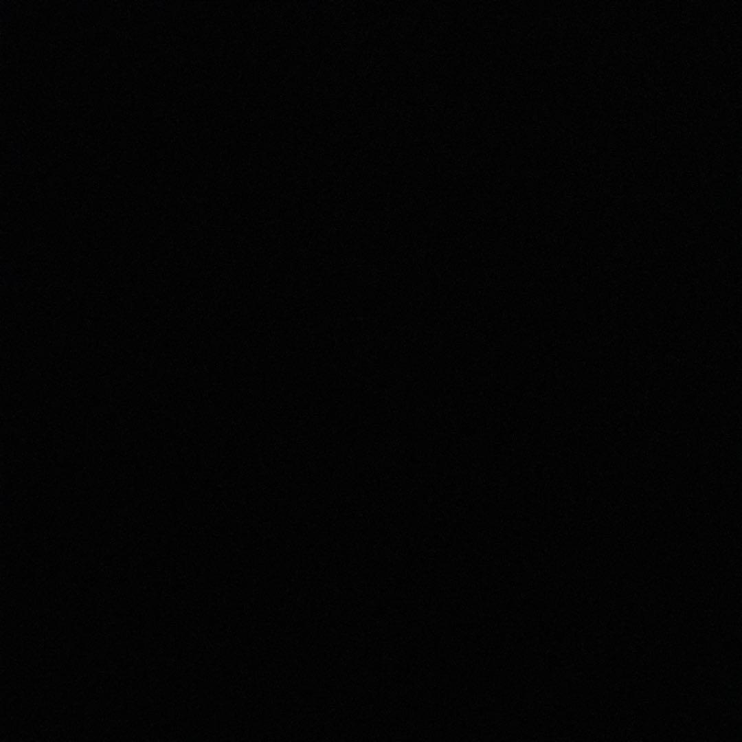 Gさん専用　VCORE 95 2本セット