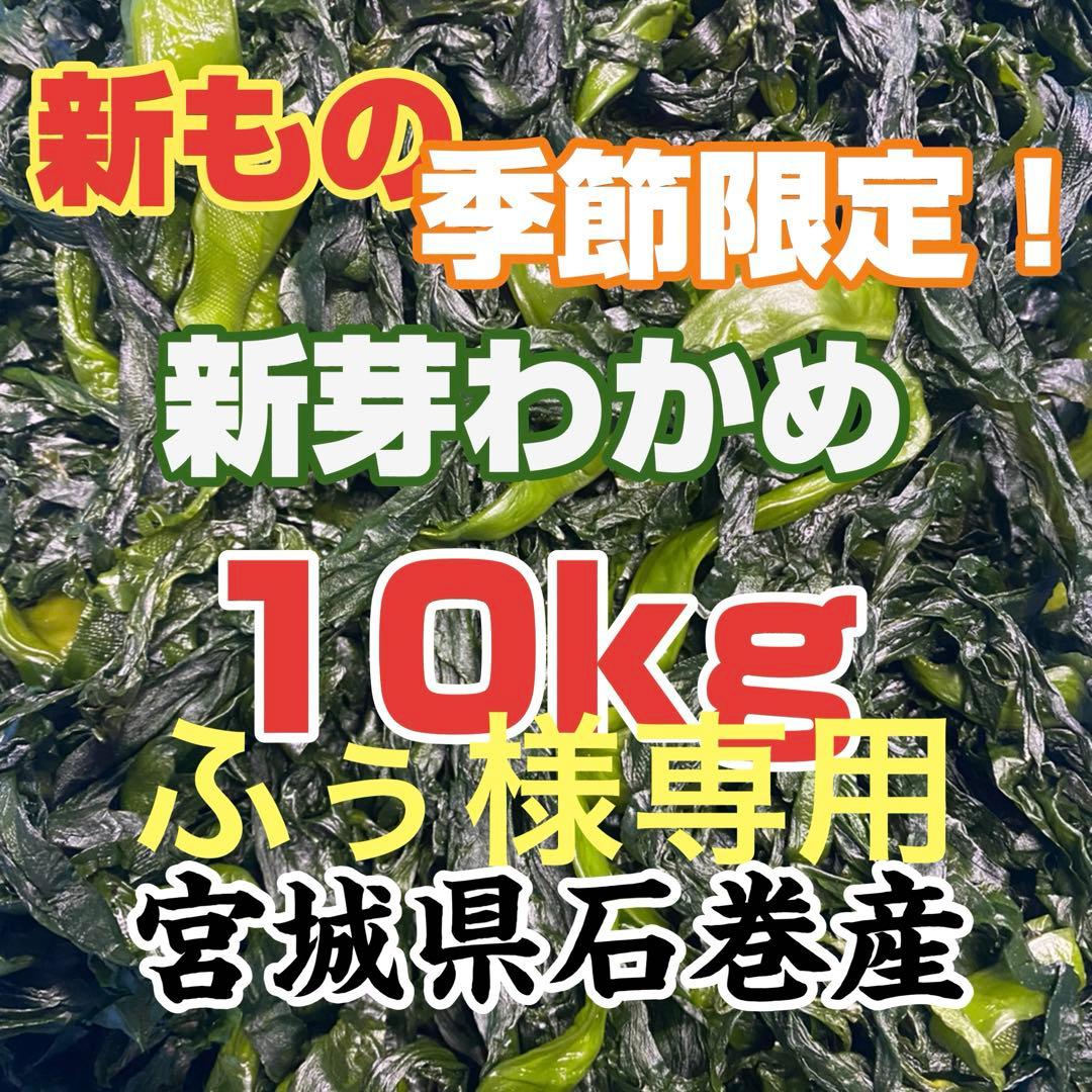 新芽わかめ　宮城県石巻産　専用