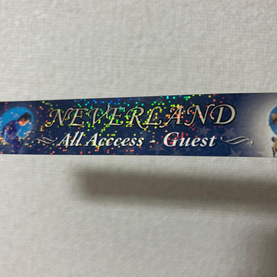 マイケルジャクソン⭐️NEVERLAND All Access Guest バンド