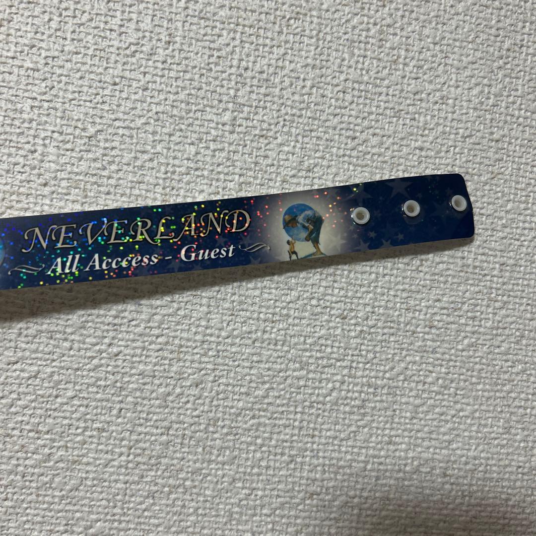 マイケルジャクソン⭐️NEVERLAND All Access Guest バンド