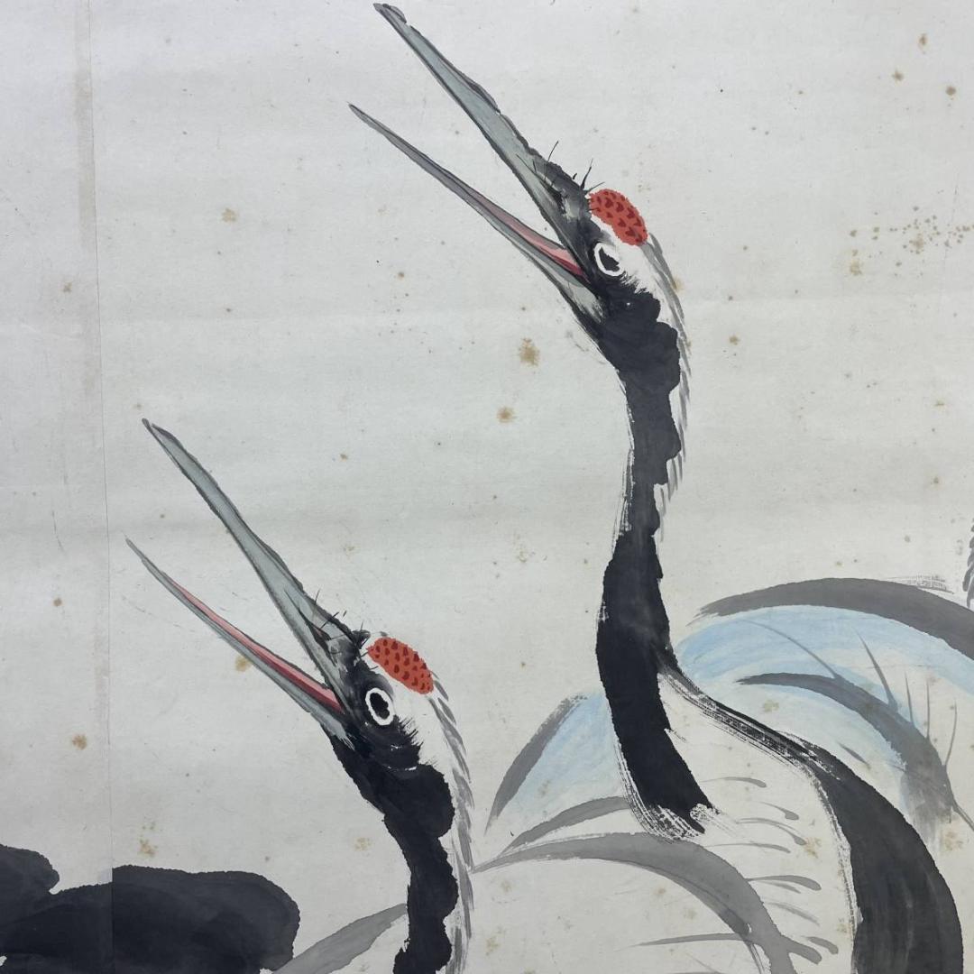 真作/光観/群れ鶴図/鶴/超大幅/布袋屋掛軸A-576