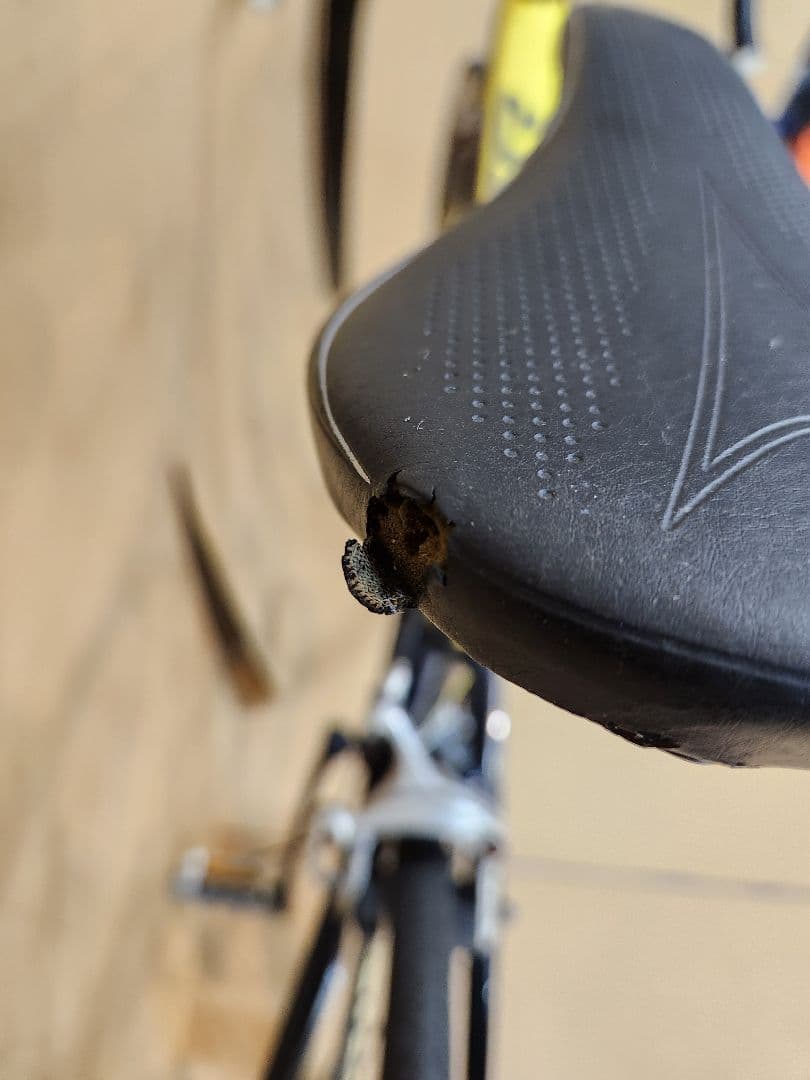 GIANT5300　ロードバイク　引き取り限定