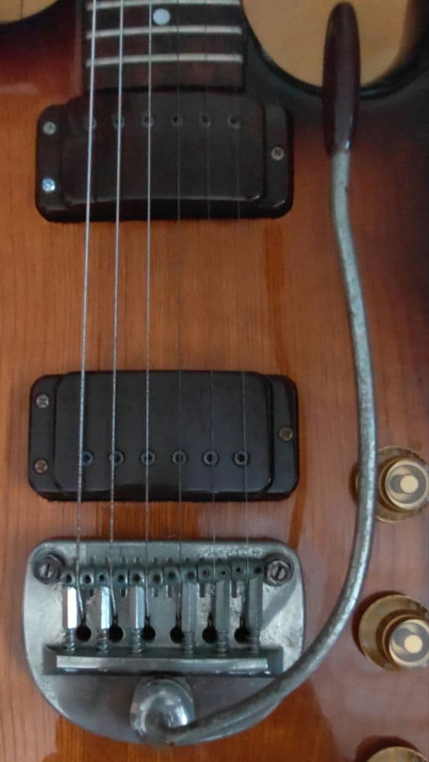 な*う様 グレコ GO−Ⅱ ハムバッキング X 2 タイプ　ナット変更あり