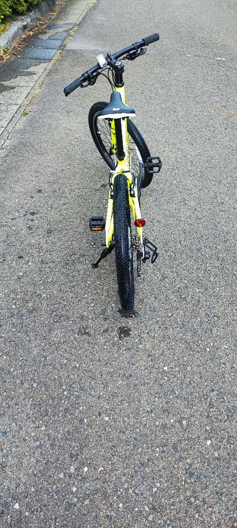 LOUIS GARNEAU J22 子供用自転車 22インチ