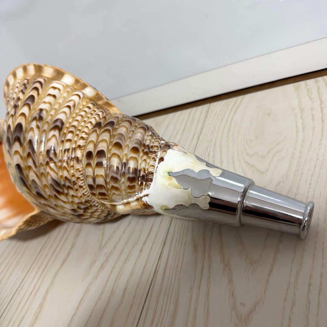 値下げしました！ 特大法螺貝‼️ ほら貝 ホラガイ 41cm