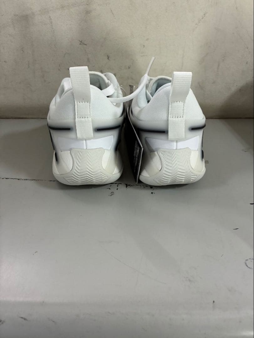 WMN JORDAN HEIR PF 110カラー 24.0㎝