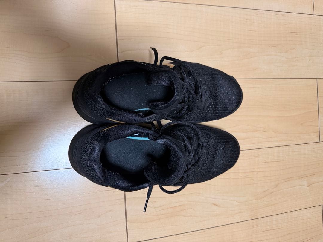 希少カラー✨ハイパーダンク2017low