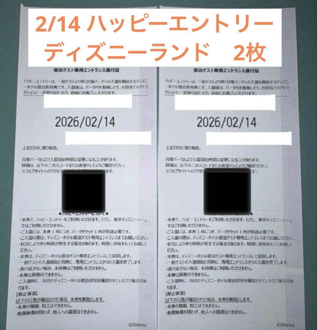 ディズニーランド　ハッピーエントリー　2/14 2枚