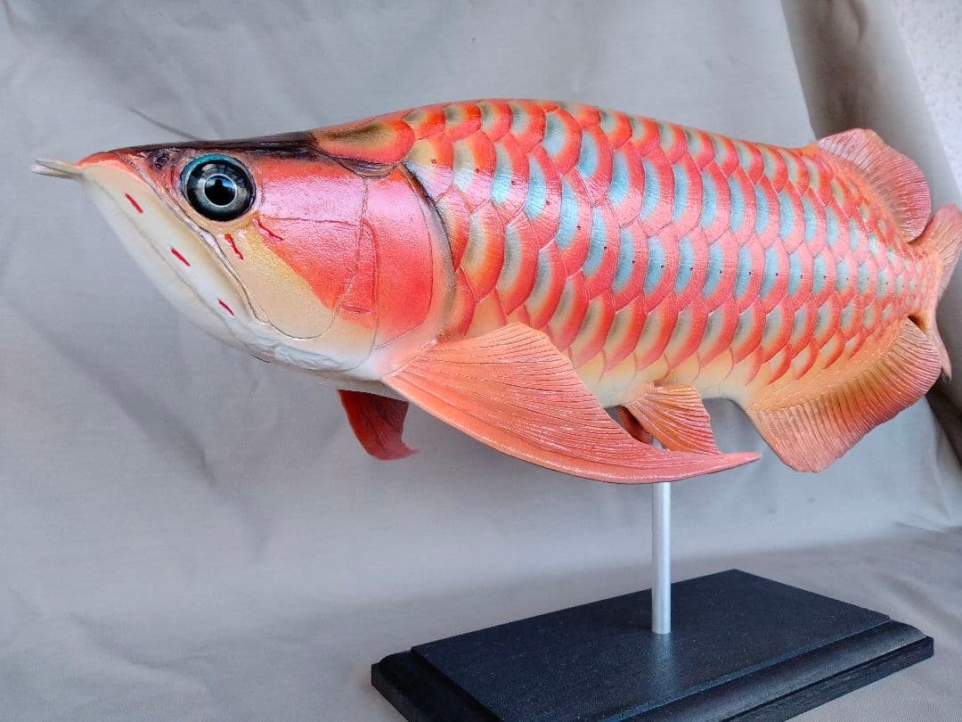 新作ハンドメイド　41cmアロワナ　フィギュア　レプリカ　熱帯魚　レッドブルー