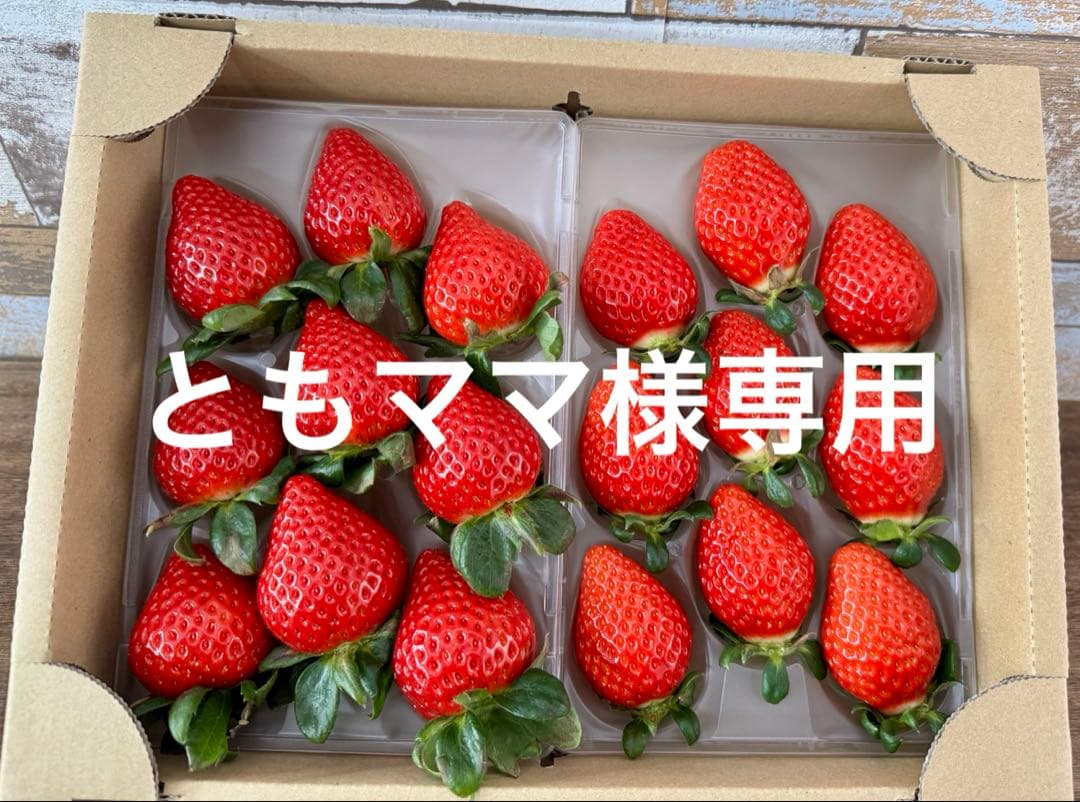 埼玉県プレミアムいちご あまりん&べにたま 食べ比べセット 5箱