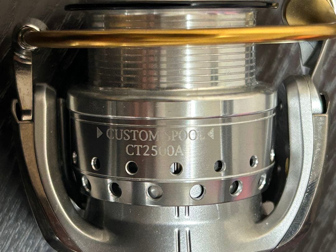 イグジストハイパーカスタムボディ2500 スタジオオーシャンマークカスタム