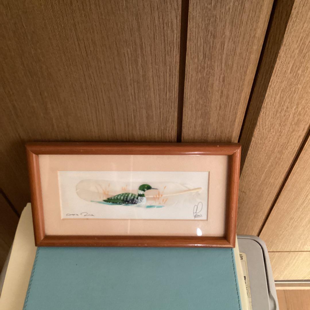 水彩画　　タイトル【　鴨　】鳥の羽に鴨の絵が描かれてます。壁掛け額装　直筆サイン