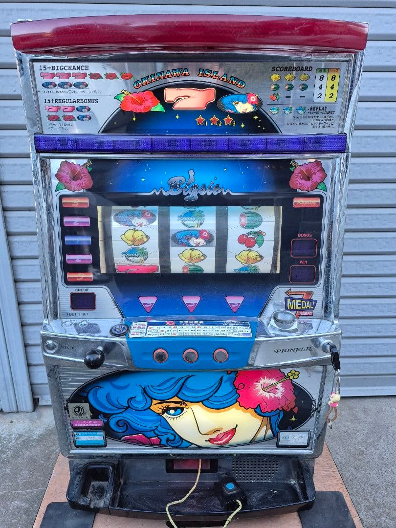 赤*目様 ビッグシオ30 実機　不要機