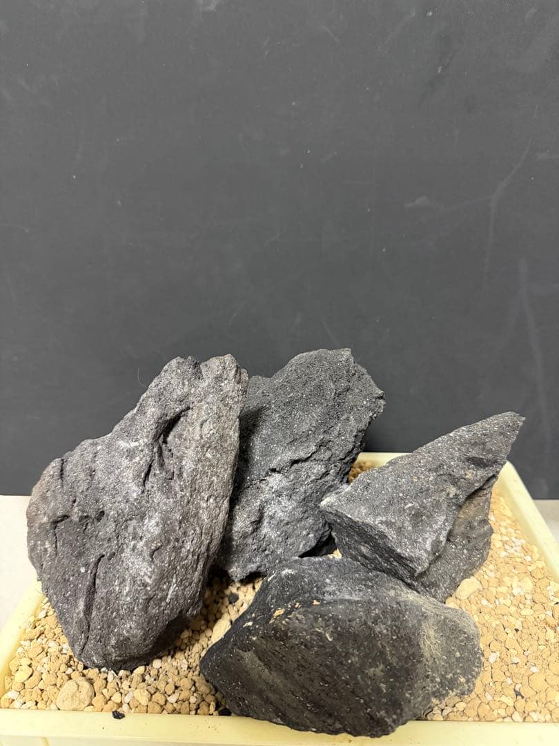 ⑧ADA山水石 組合せ！オススメ！