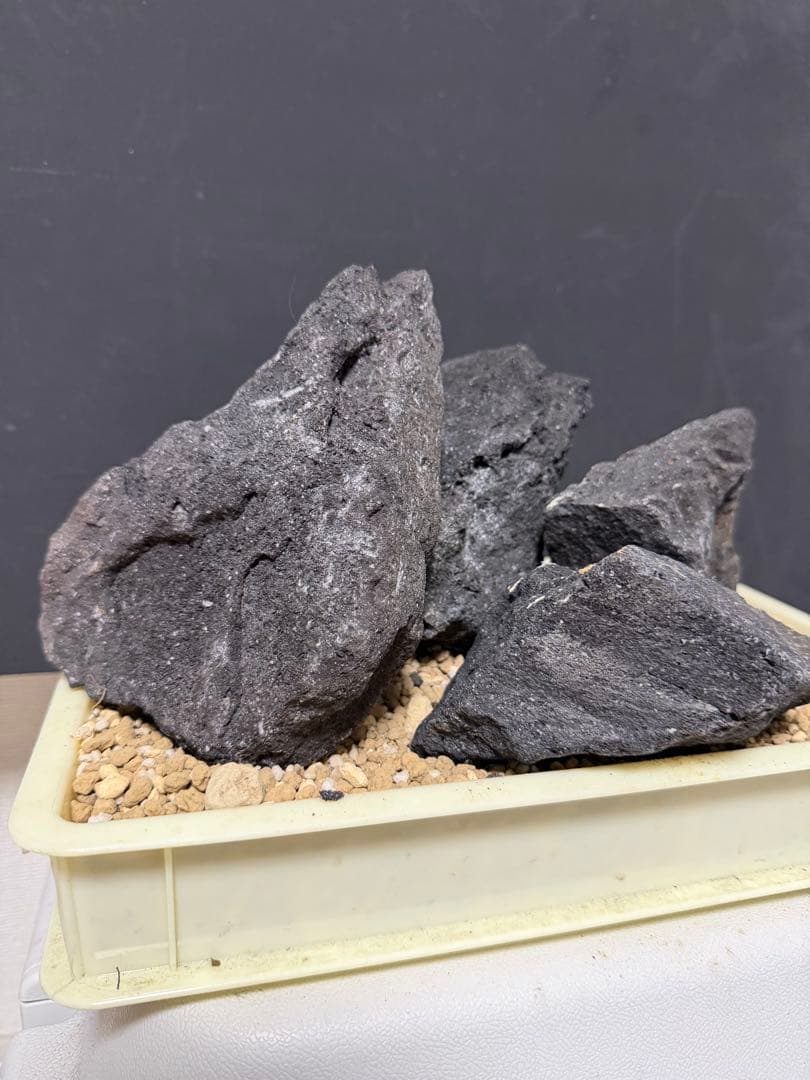 ⑧ADA山水石 組合せ！オススメ！