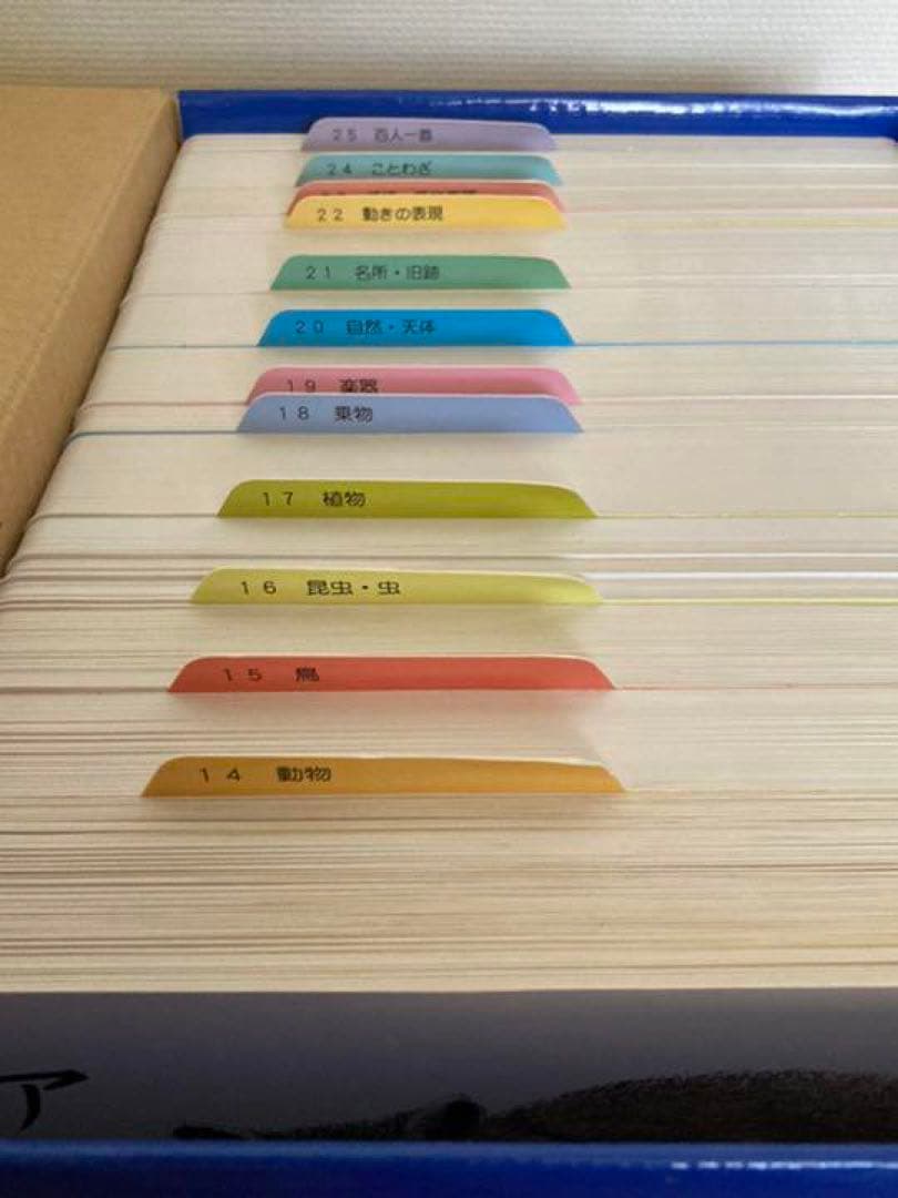 知育　アイ・カード　フラッシュカード　ブックローン