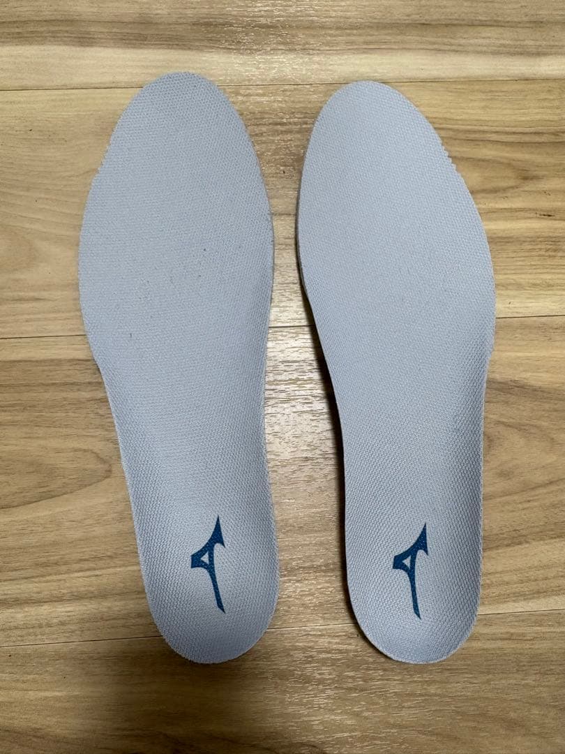 ミズノ　ゴルフシューズ　ネクスライトUW BOA 29.0 新品未使用品