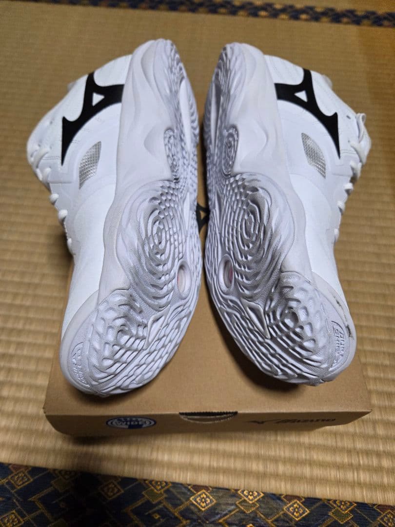 ミズノ　バレーボールシューズ　モーメンタムエリート　ワイド　Low