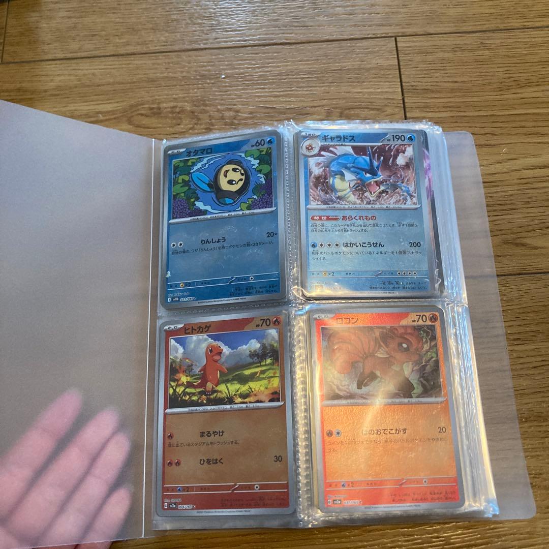 ポケモンカードコレクション