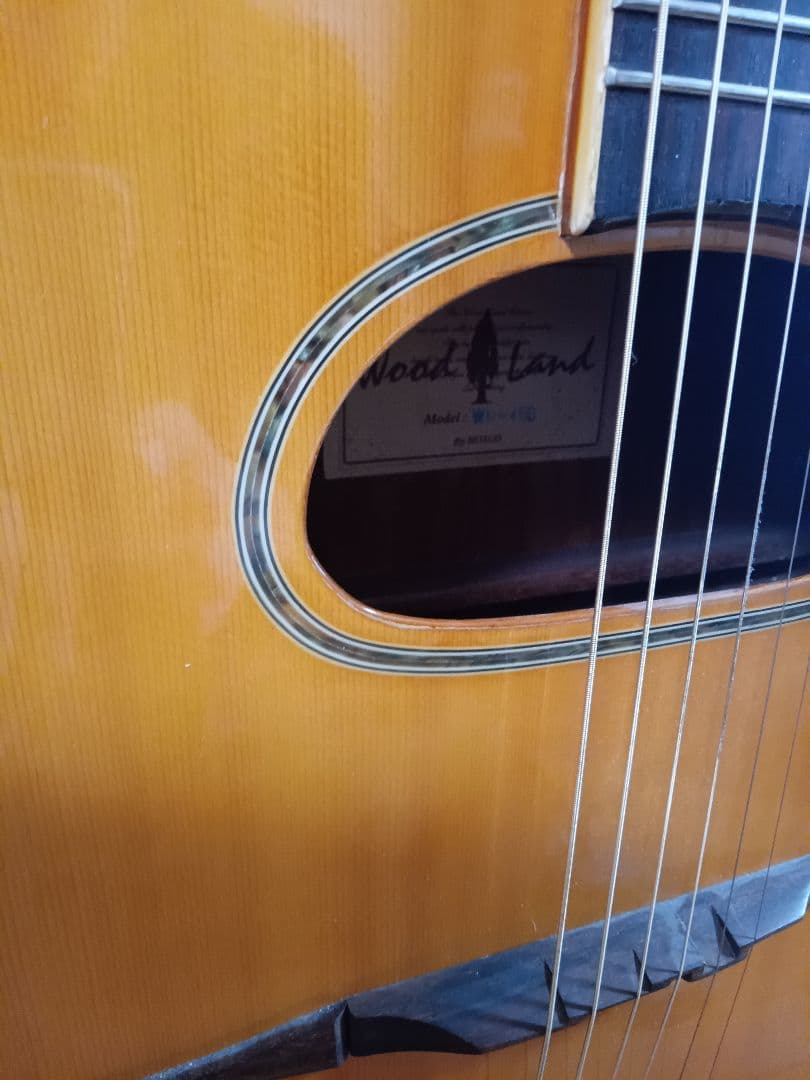 マカフェリギター woodland MH-450