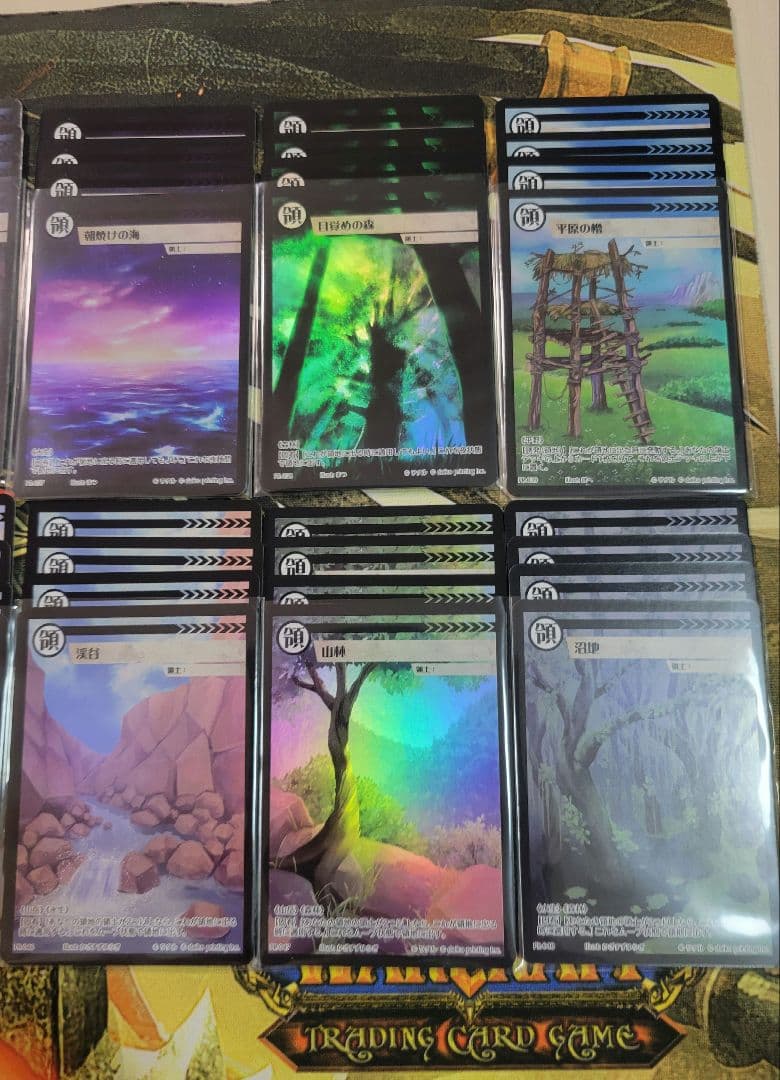 クラファン限定 アニマルカードゲーム フルアート 領土 foil セット 72枚