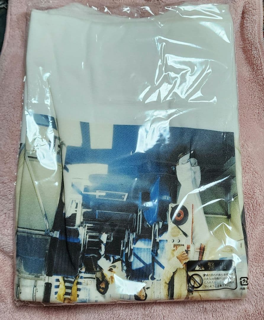 ロビンソン フォトTシャツ Lサイズ ハチミツ30th スピッツ