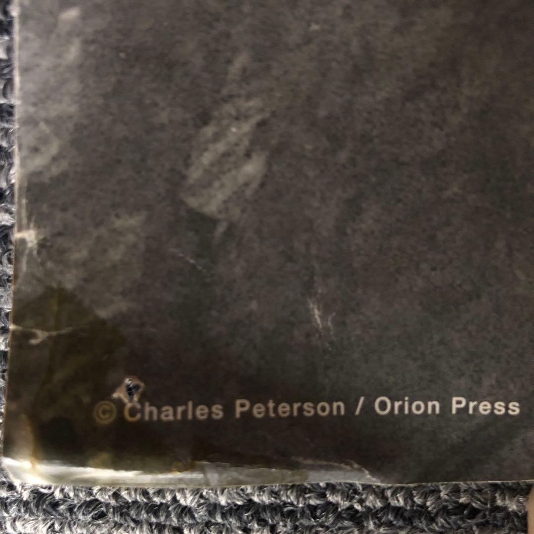 ニルヴァーナ ポスター チャールズ・ピーターソン