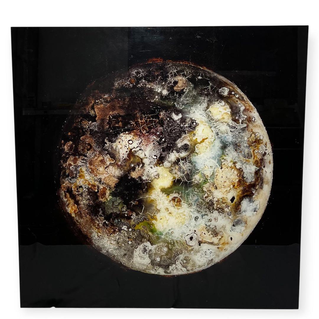 「FUSION WORLD」 Anne Gaiss 鑑定書付 アート