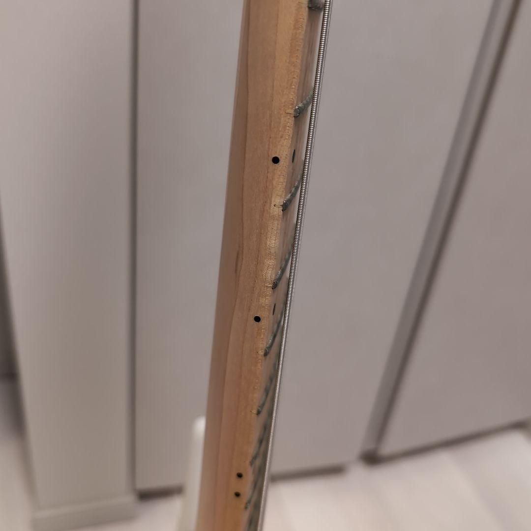 ギター FUJIGEN J-Standard ILIAD