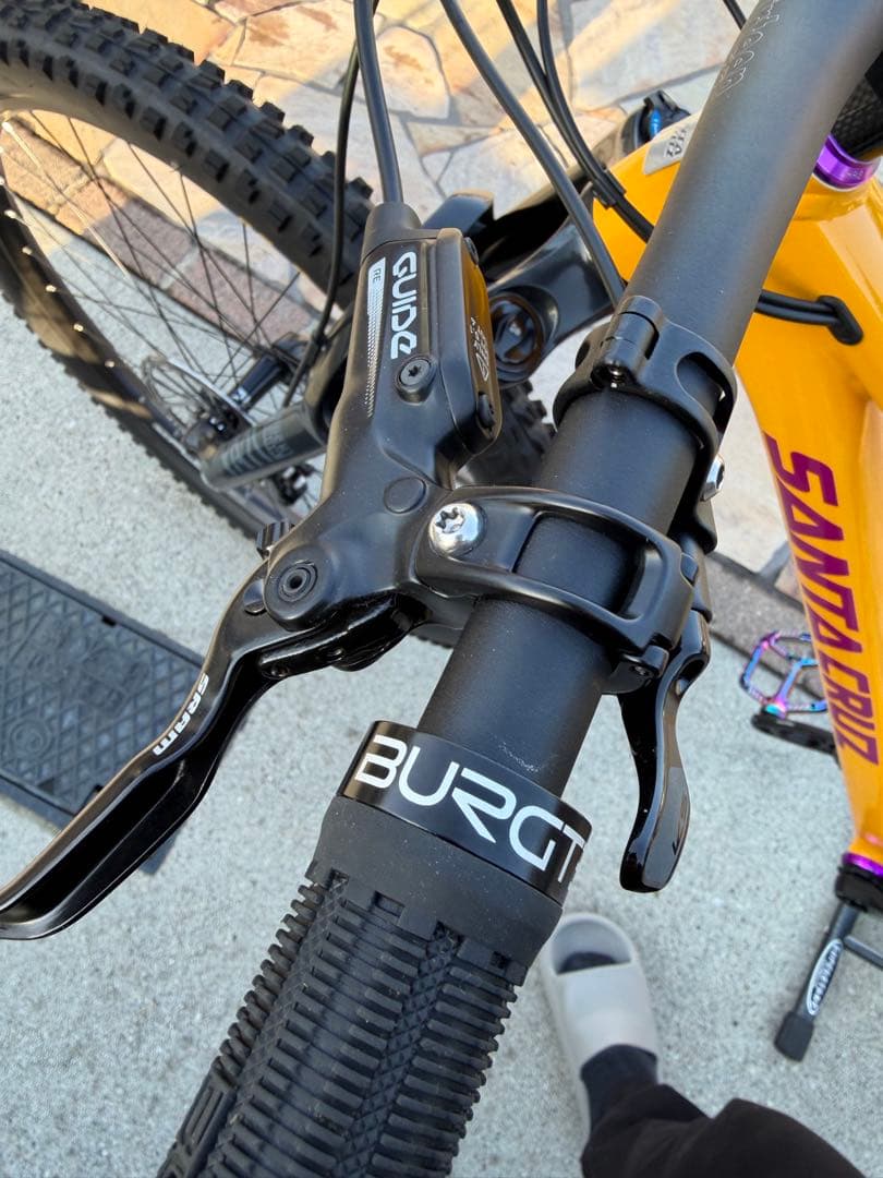 ① SANTA CRUZ chameleon カメレオン　サンタクルーズ　極美品