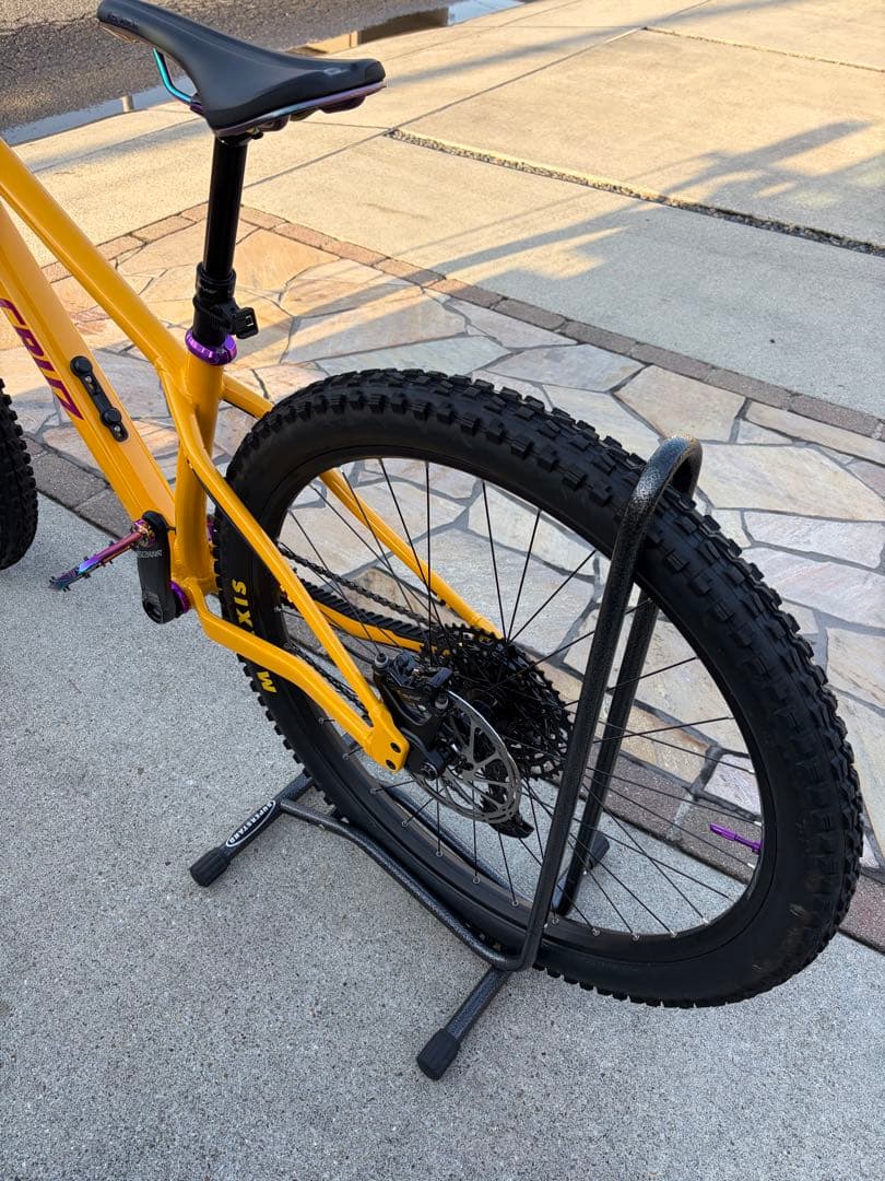 ① SANTA CRUZ chameleon カメレオン　サンタクルーズ　極美品