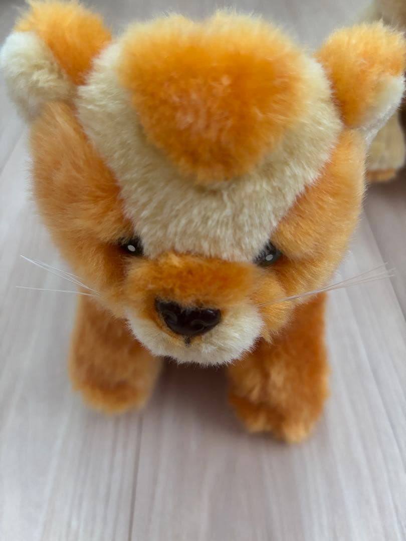 ⭐︎MISIA ハートのレオナ⭐︎