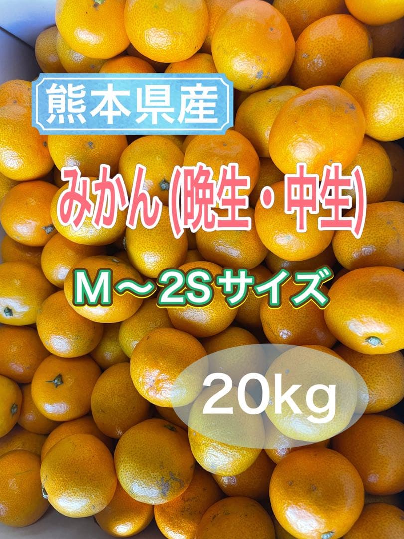 みかん　20kg M〜2Sサイズ　熊本県産