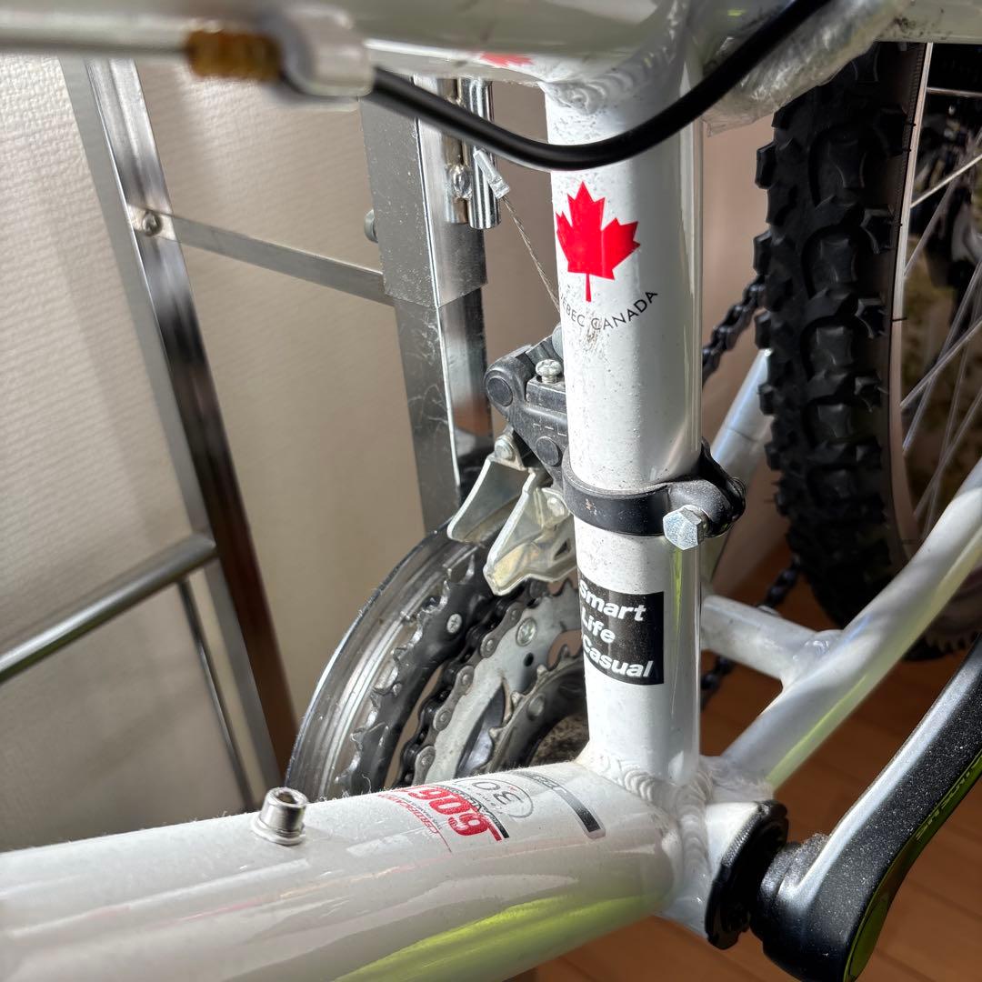 ルイガノ　24インチ　子供用　自転車　白　ライト付き