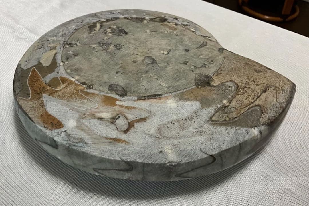 アンモナイト 大 24cm 3kg