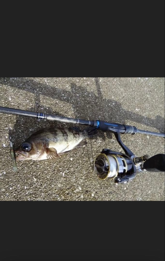 ソルティースタイル メバル ＳＴＭＳ－７６２ＵＬＳ－ＫＲ