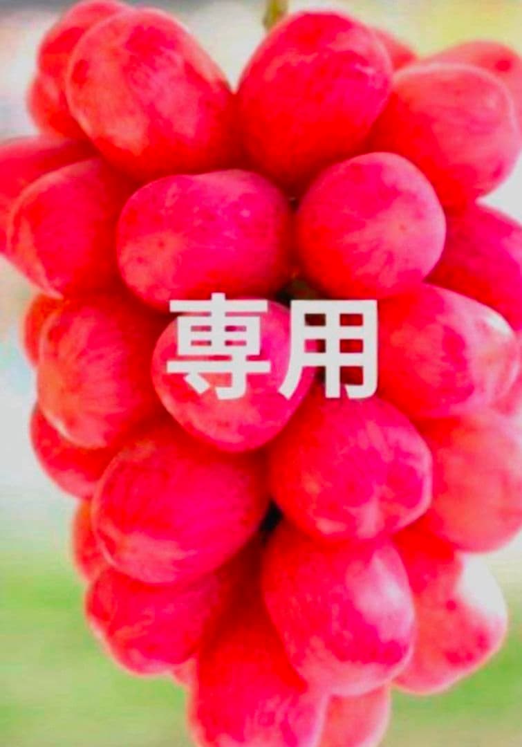 ぶどう　こちら専用のお品物となります