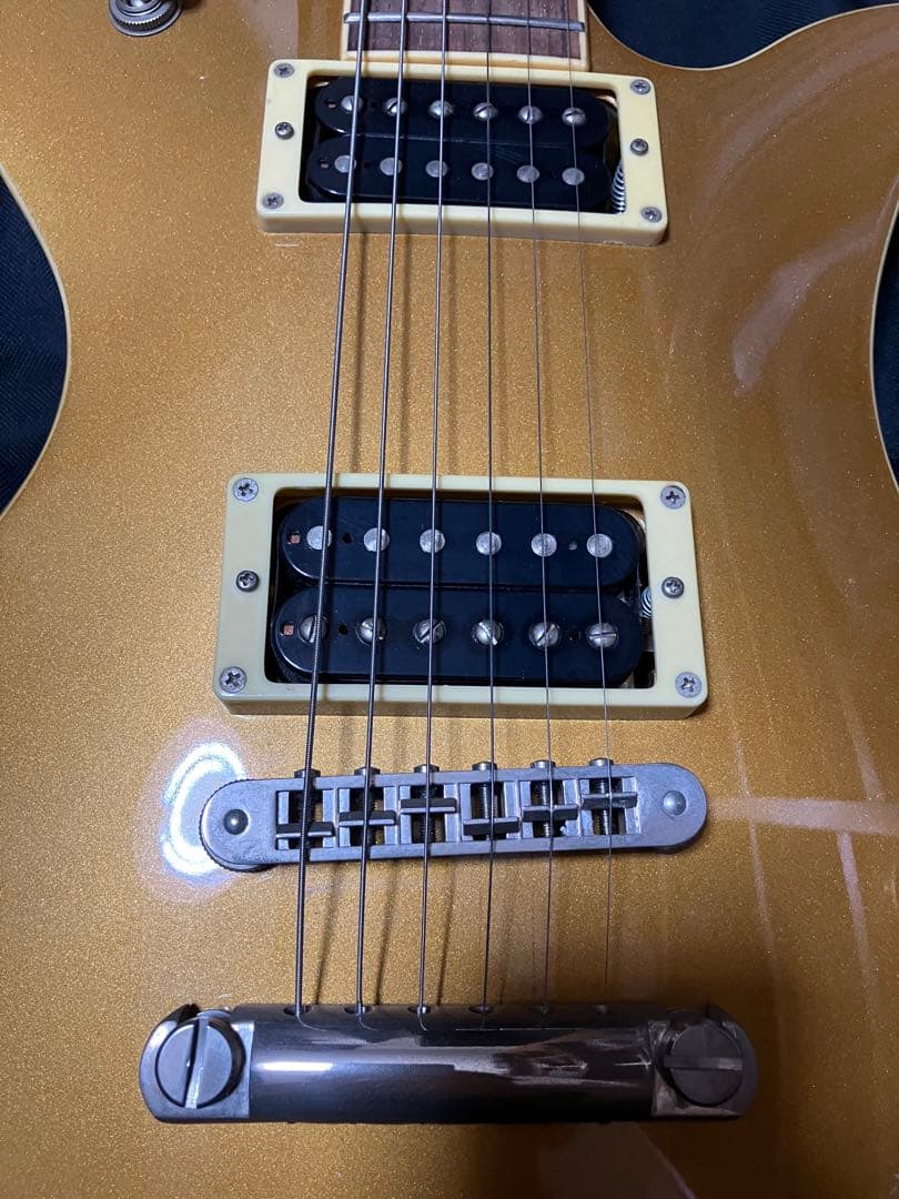 Fernandes Ravelle ギター