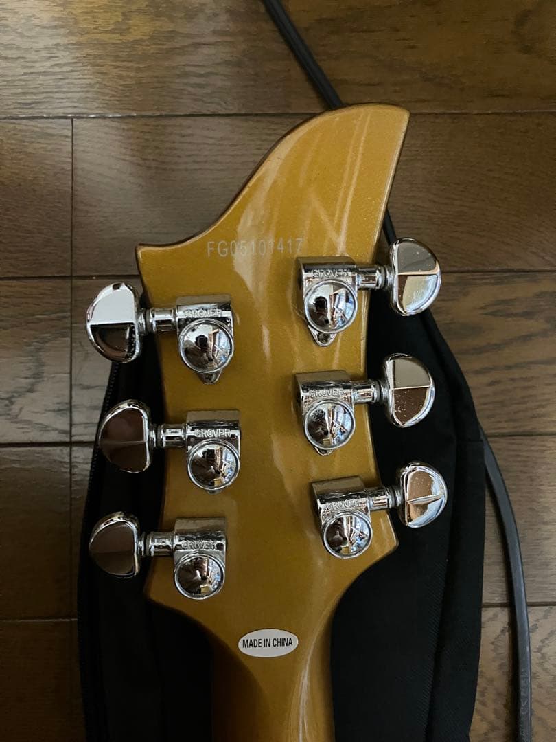 Fernandes Ravelle ギター