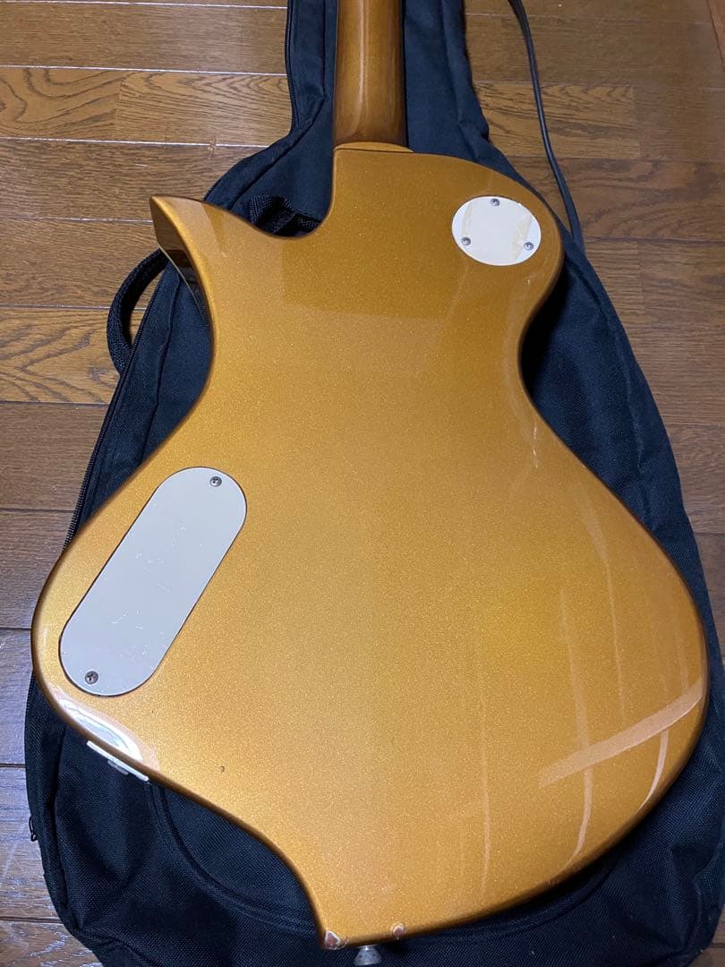 Fernandes Ravelle ギター