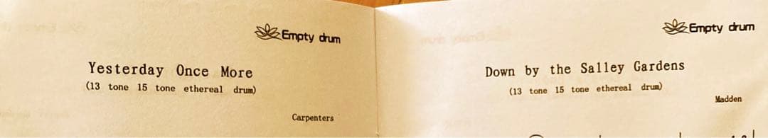 タングドラム15音　Dメジャー　楽譜あり　EMPTY DRUM