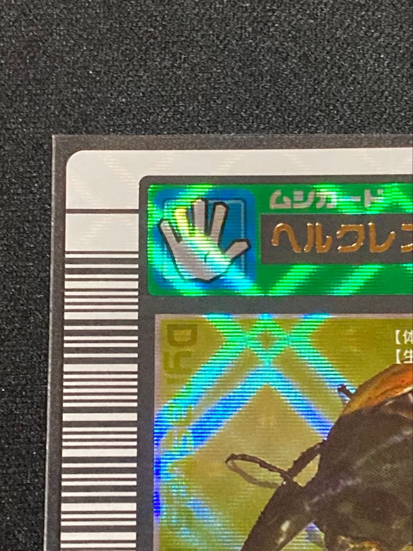 またこ ヘルクレスオオカブト2003 SPRING春 学名黒バーコードキラ