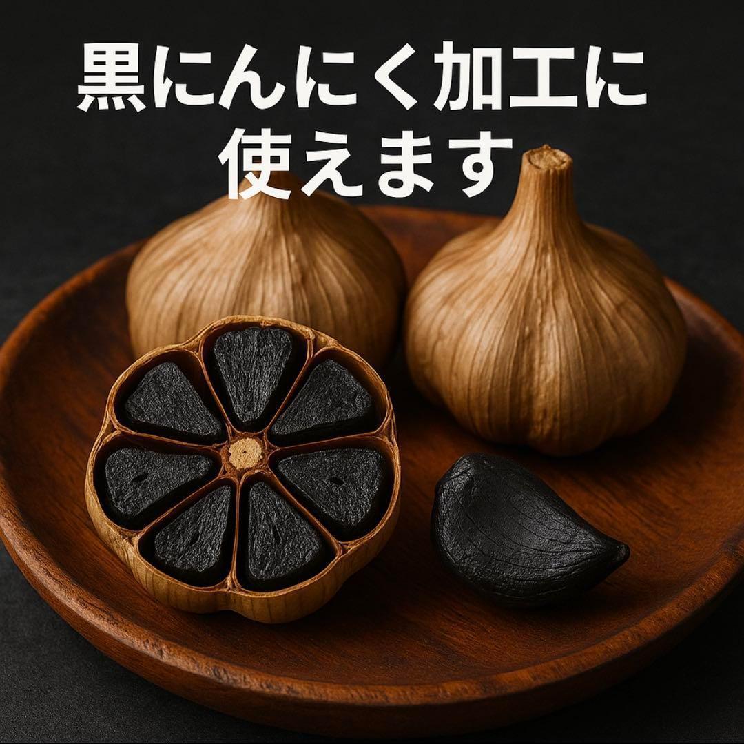 【大特価】新物 青森県産 にんにく M 5kg 福地ホワイト 種おすすめ 加工