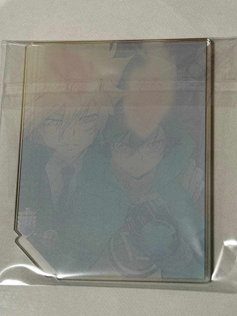 家庭教師ヒットマン REBORN 沢田綱吉　プリーモ アクリルスタンド