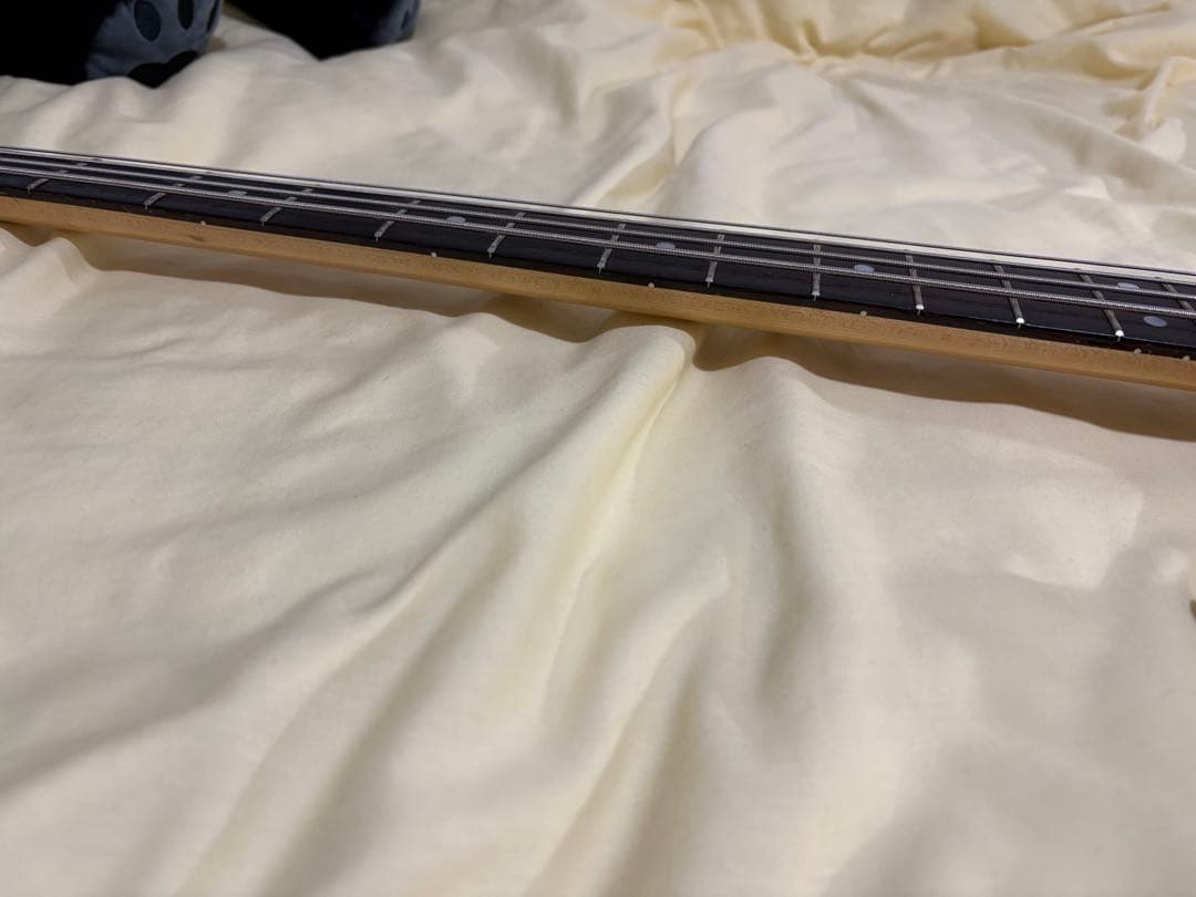 ベース bacchas WL-434 WOODLINE global series