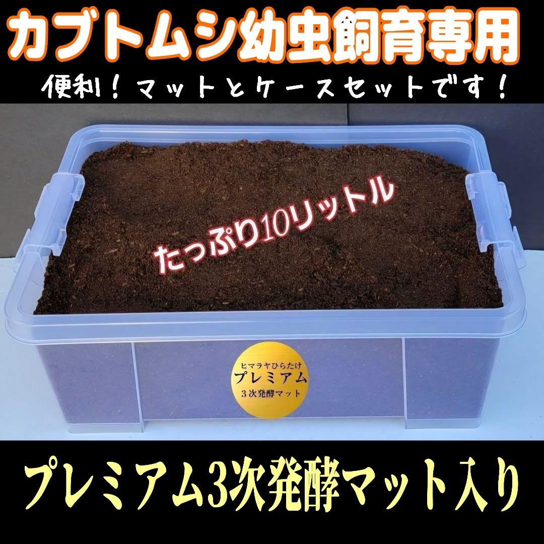 【２セット】カブトムシ幼虫を入れるだけ！プレミアム発酵マット入り㍑ボックス